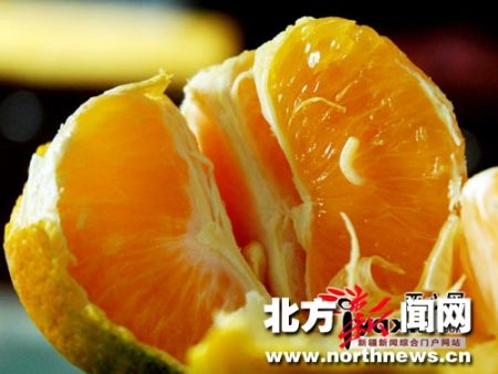 鄭州西安等地出現(xiàn)帶蛆柑橘農(nóng)業(yè)部要求全國監(jiān)控