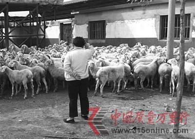 ⾫F(xin)ɽ|һ(zhn) zyڈ(zh)