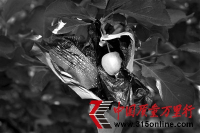 _(ti)tʿˎL(zhng)
